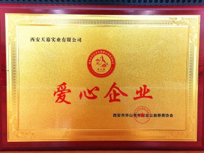 西安市華山青年創(chuàng)意公益慈善協(xié)會(huì)授予西安天幕實(shí)業(yè)有限公司“愛心企業(yè)”